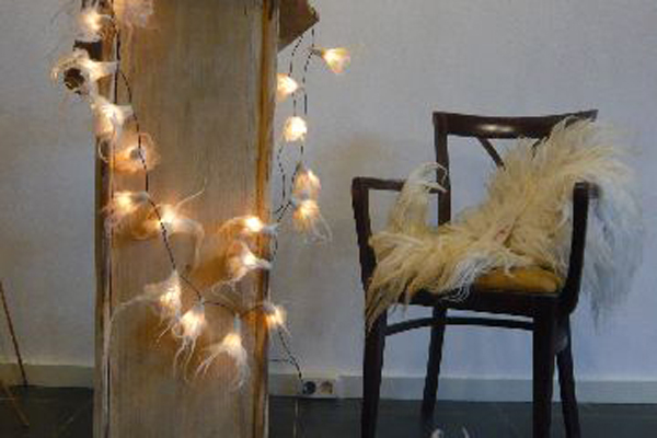 In Schijndel De Schaapskooi