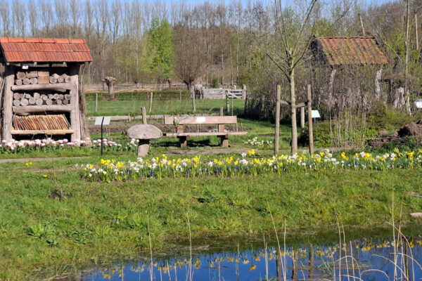 Bij de imker - Schaapskooi