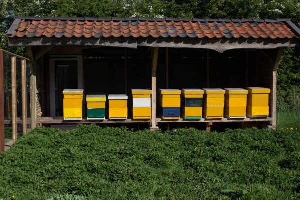Schaapskooi-Schijndel-De-Bijen-Bijenkassen