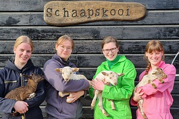 Schijndel Uit de Kunst